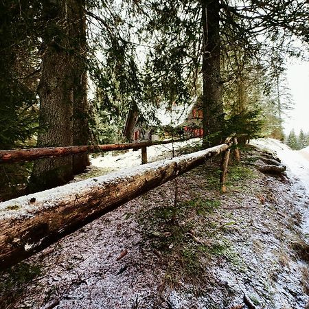 Chalet Stara Jelka Pokljuka Zgornje Gorje Exteriér fotografie