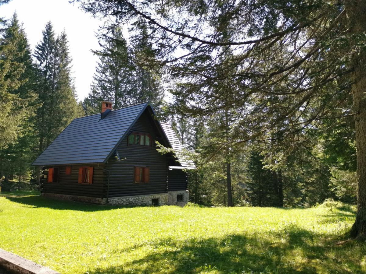 Chalet Stara Jelka Pokljuka Zgornje Gorje Exteriér fotografie