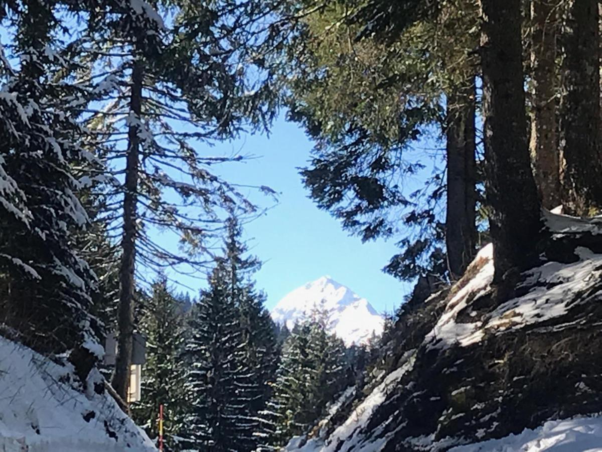 Chalet Stara Jelka Pokljuka Zgornje Gorje Exteriér fotografie