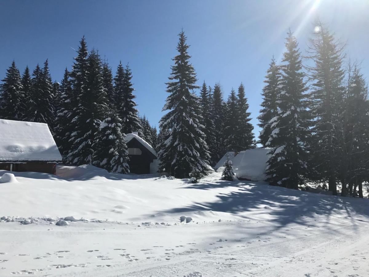 Chalet Stara Jelka Pokljuka Zgornje Gorje Exteriér fotografie