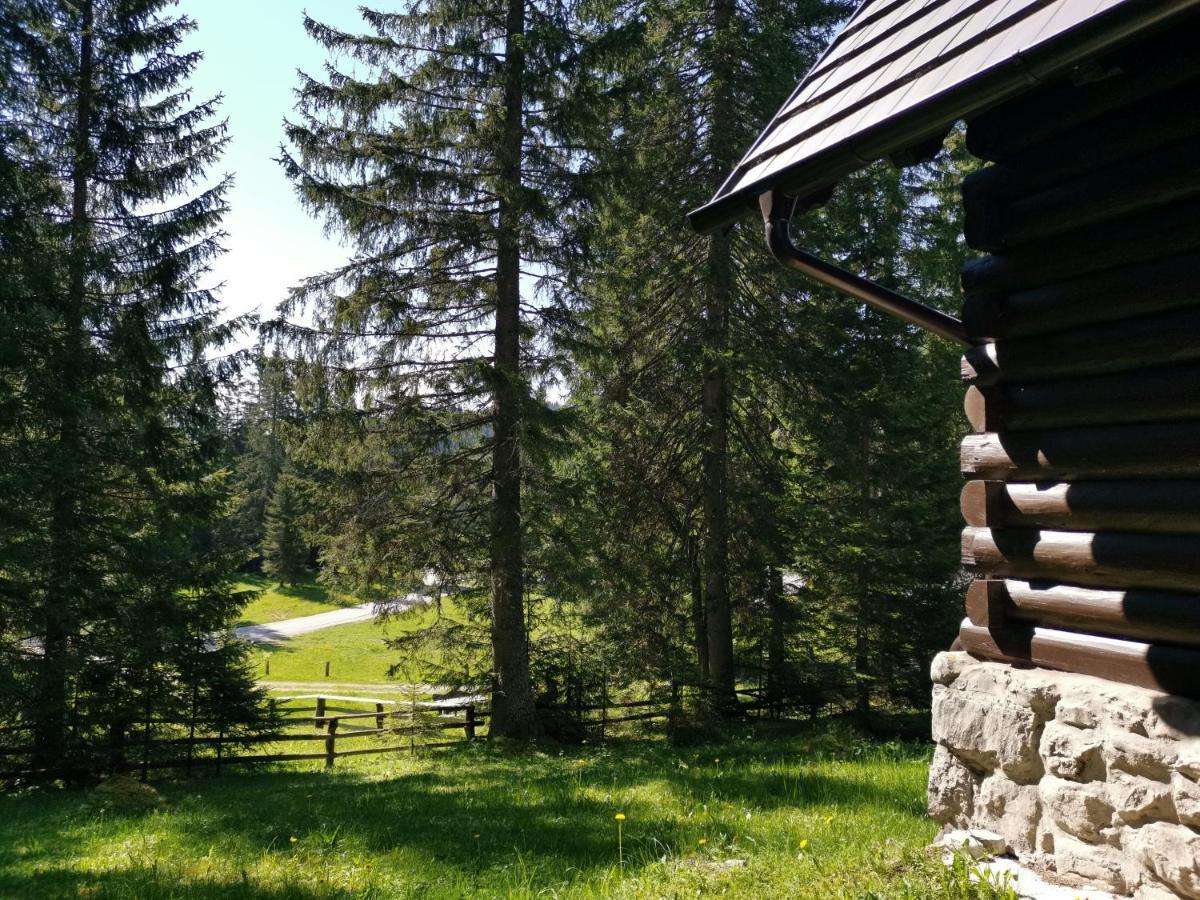 Chalet Stara Jelka Pokljuka Zgornje Gorje Exteriér fotografie