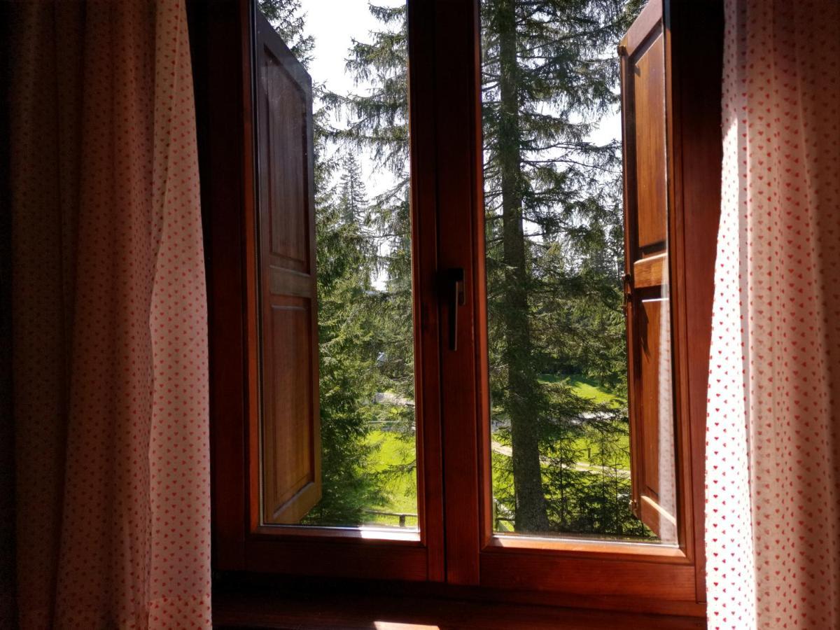 Chalet Stara Jelka Pokljuka Zgornje Gorje Exteriér fotografie