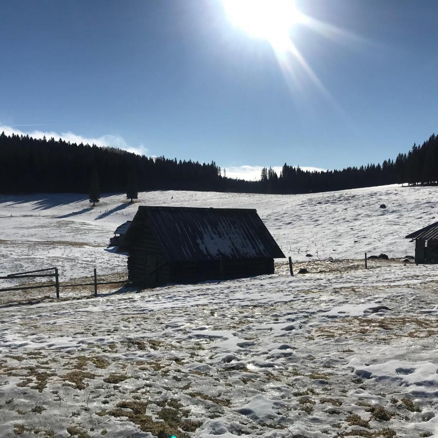 Chalet Stara Jelka Pokljuka Zgornje Gorje Exteriér fotografie