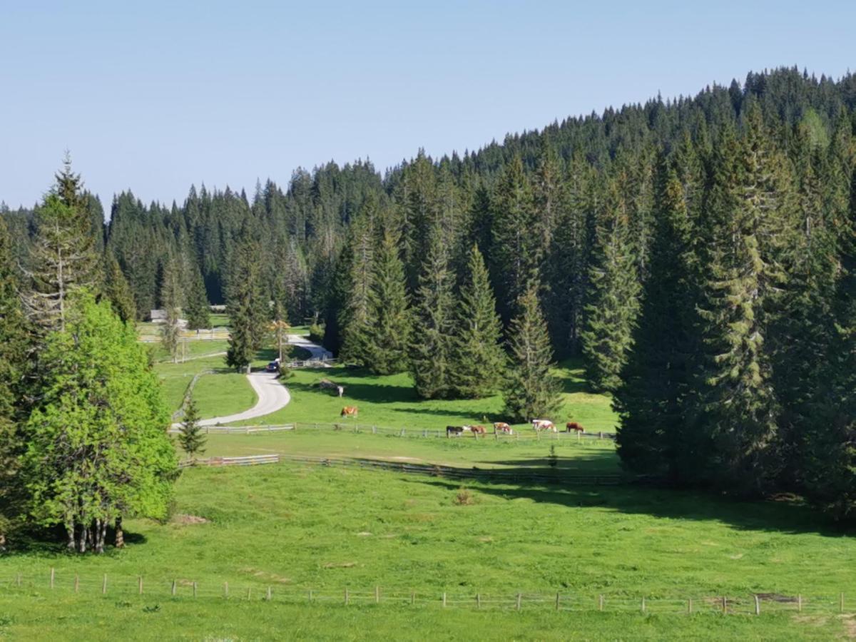 Chalet Stara Jelka Pokljuka Zgornje Gorje Exteriér fotografie