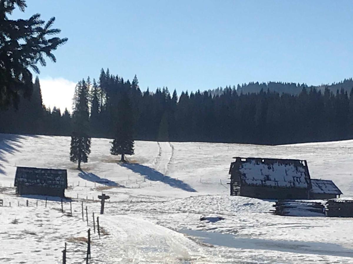 Chalet Stara Jelka Pokljuka Zgornje Gorje Exteriér fotografie