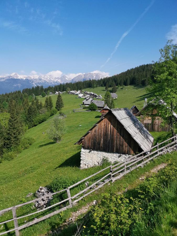 Chalet Stara Jelka Pokljuka Zgornje Gorje Exteriér fotografie