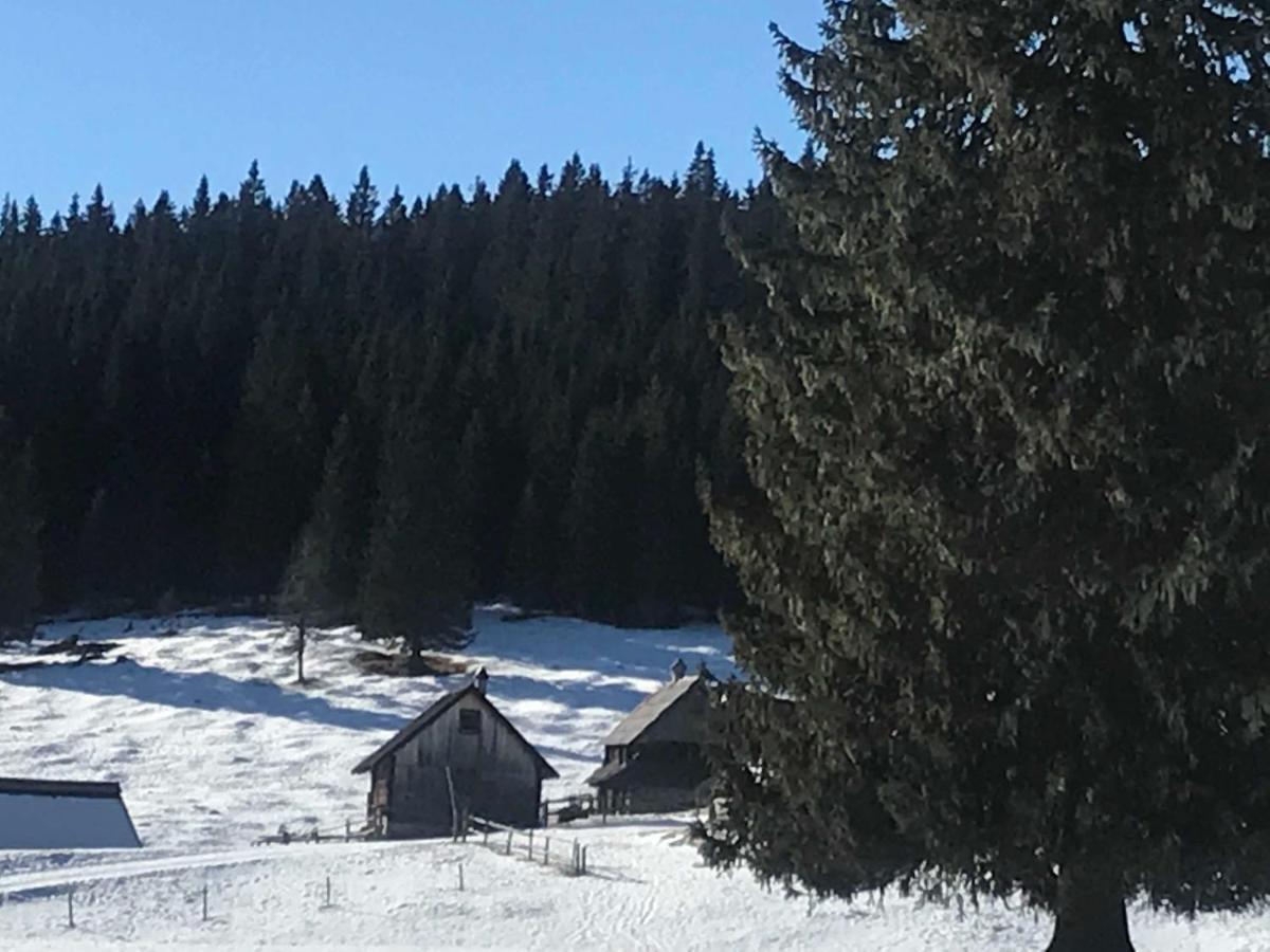 Chalet Stara Jelka Pokljuka Zgornje Gorje Exteriér fotografie