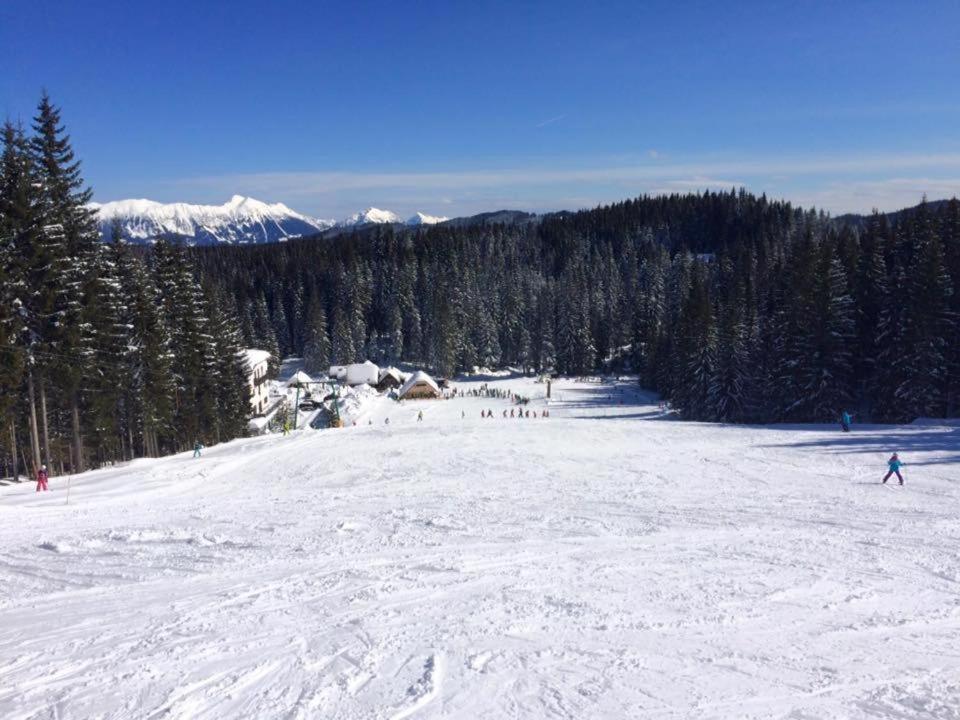 Chalet Stara Jelka Pokljuka Zgornje Gorje Exteriér fotografie