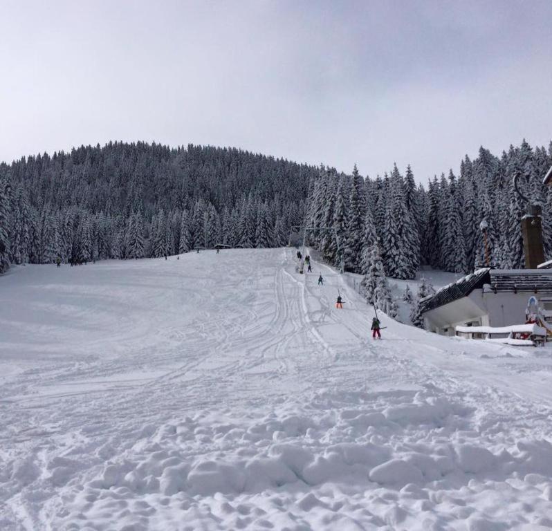 Chalet Stara Jelka Pokljuka Zgornje Gorje Exteriér fotografie