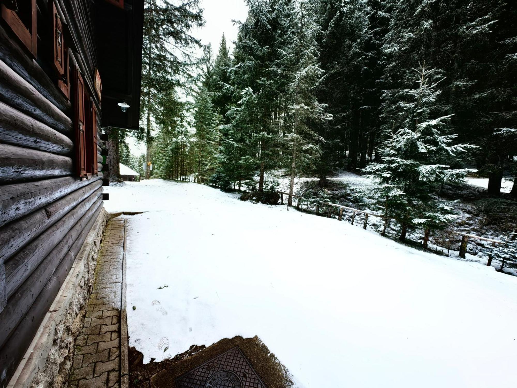 Chalet Stara Jelka Pokljuka Zgornje Gorje Exteriér fotografie