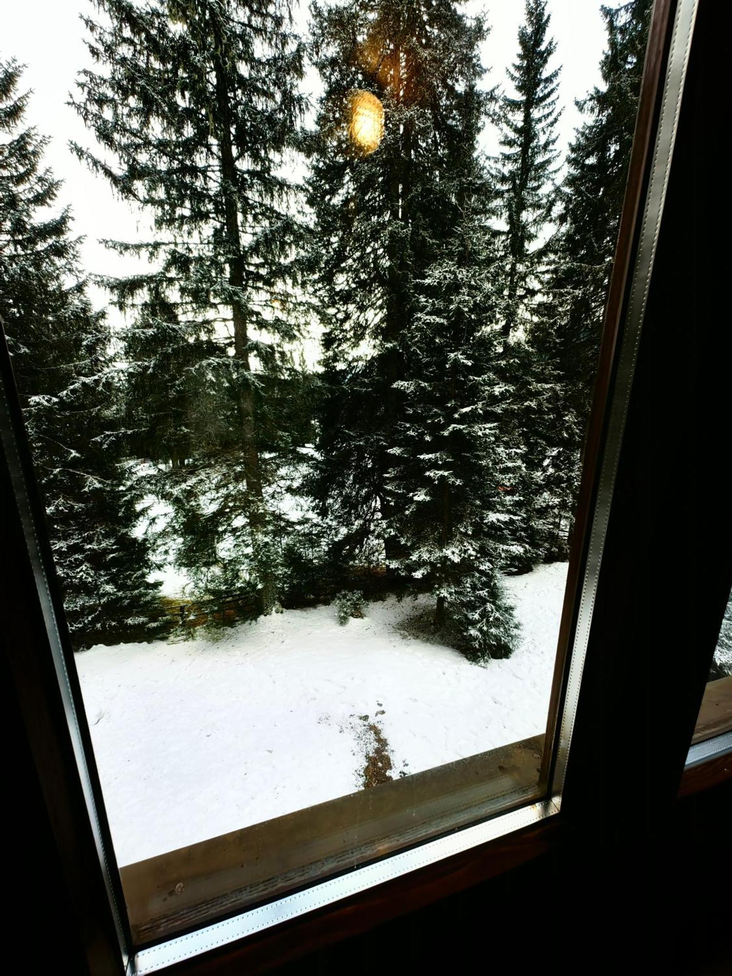Chalet Stara Jelka Pokljuka Zgornje Gorje Exteriér fotografie